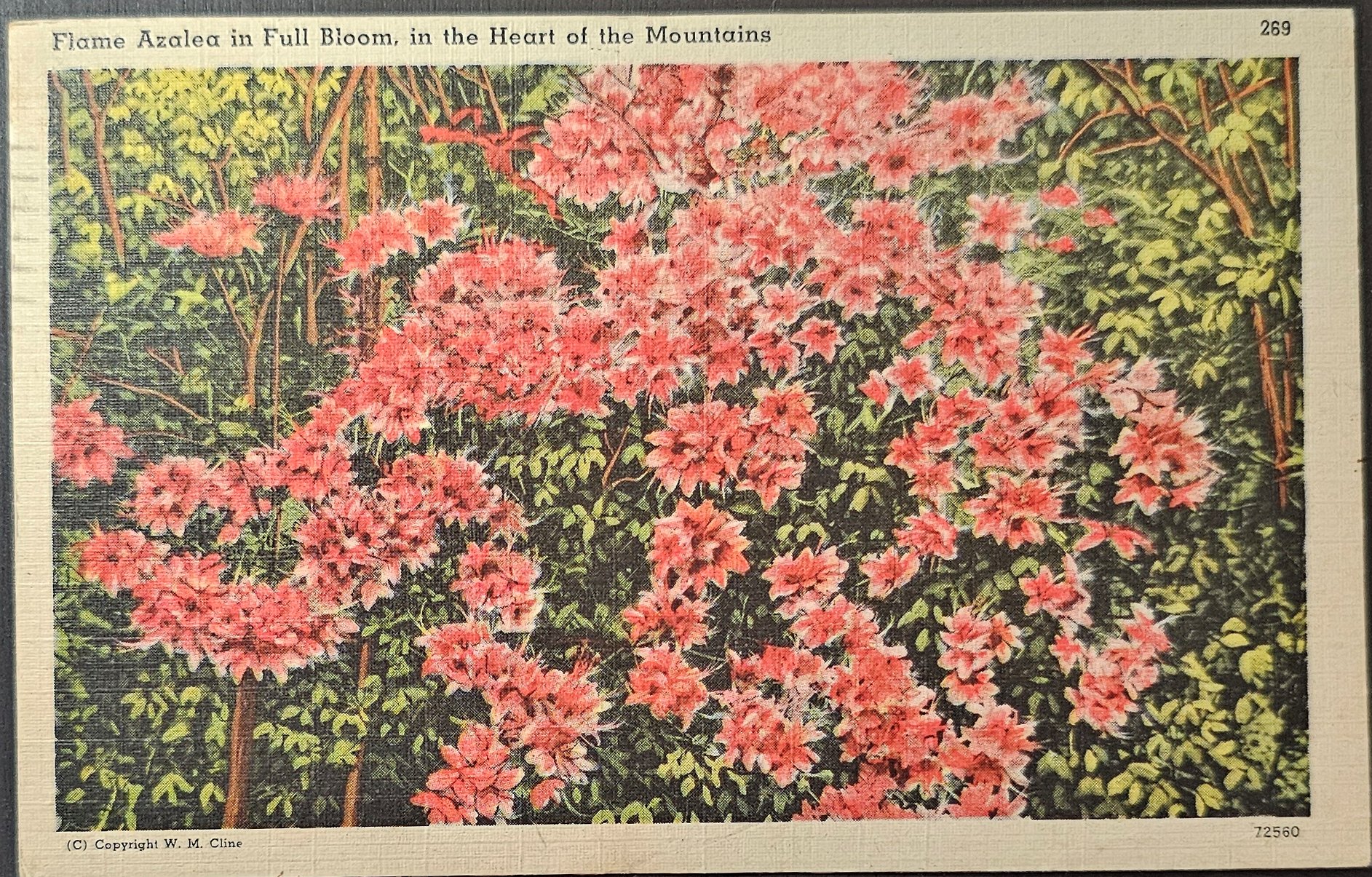 (image for) postcard USA - undefined #0006